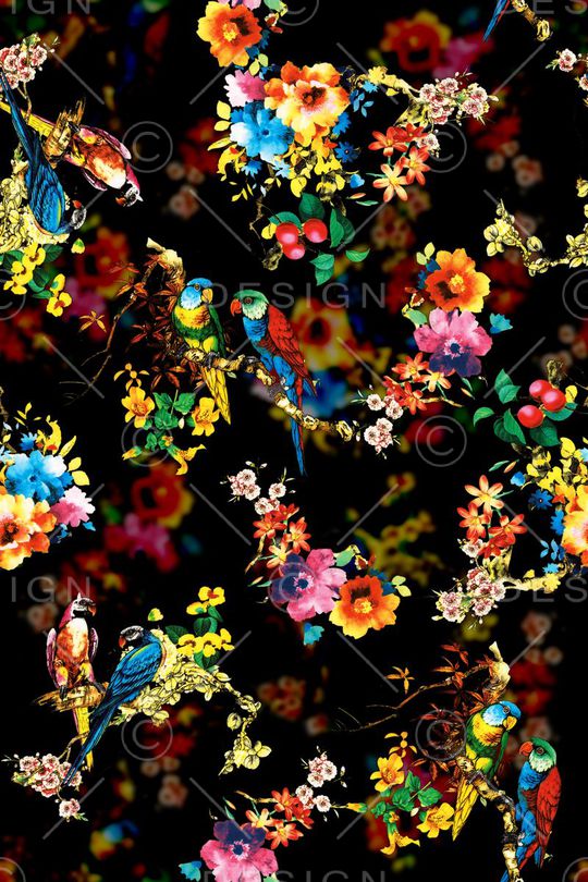 花卉 鸟 鹦鹉印花华亿平台图片