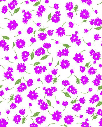 549089-欧美 时尚 大牌 D&G 花卉 小