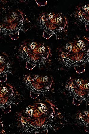 虎头印花华亿平台图片