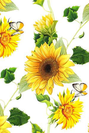 欧美印花华亿平台图片