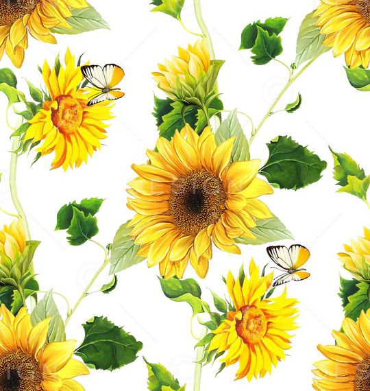 欧美印花华亿平台图片