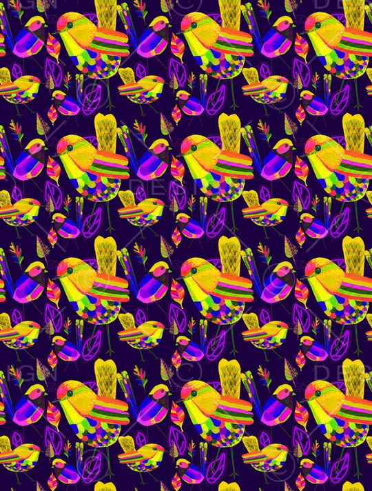 鸟卡通印花华亿平台图片