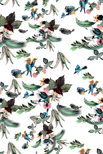 549421-时尚热带风格热带植物花鸟阔叶