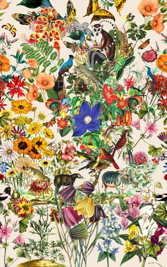 时尚印花华亿平台图片