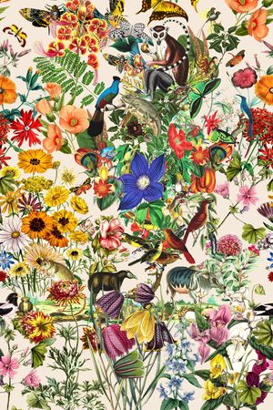 时尚印花华亿平台图片