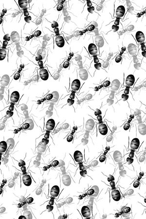 时尚潮流印花华亿平台图片