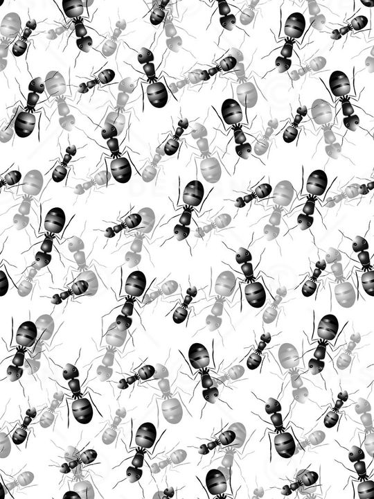 时尚潮流印花华亿平台图片