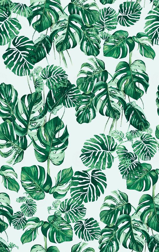 热带丛林印花华亿平台图片