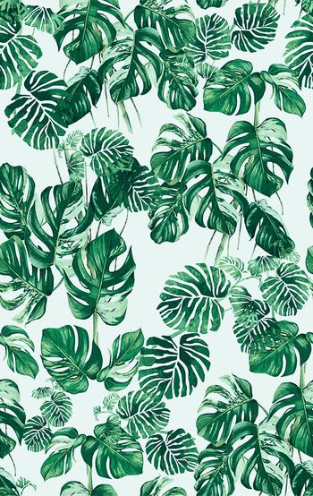 549586-热带丛林植物花卉时尚潮流印花