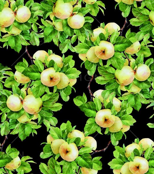 手绘桃子印花华亿平台图片