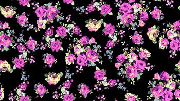 549724-玫瑰花手绘