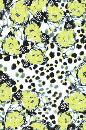 豹纹蝴蝶印花华亿平台图片