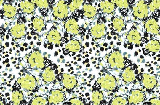 豹纹蝴蝶印花华亿平台图片