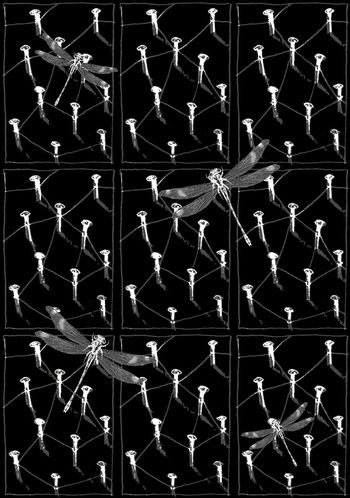 549817-抽象钉子蜻蜓男装衬衫图案