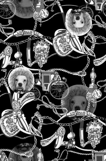 549852-时尚绳子大狗狗男装图案