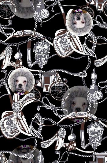 549853-时尚绳子大狗狗男装图案