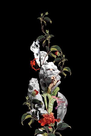 流行印花华亿平台图片