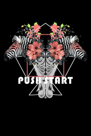 斑马印花华亿平台图片