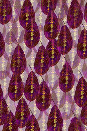 流行时尚印花华亿平台图片