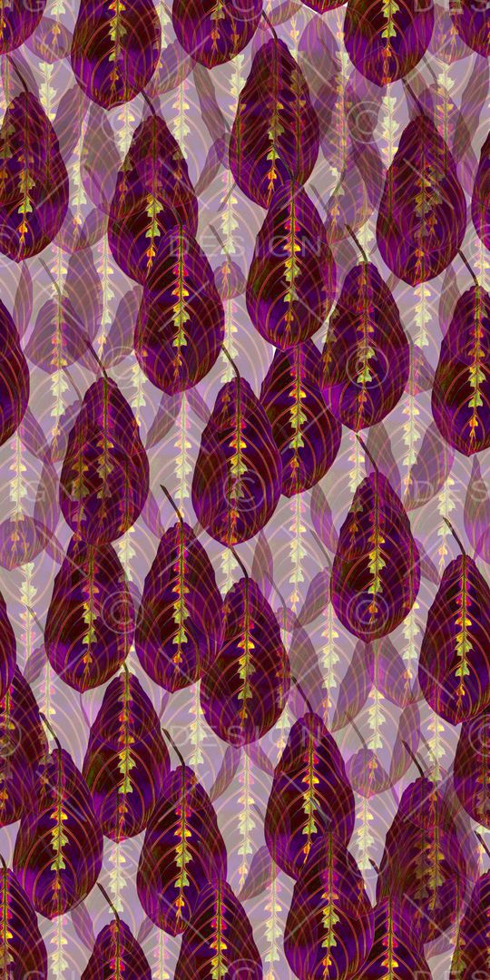 流行时尚印花华亿平台图片