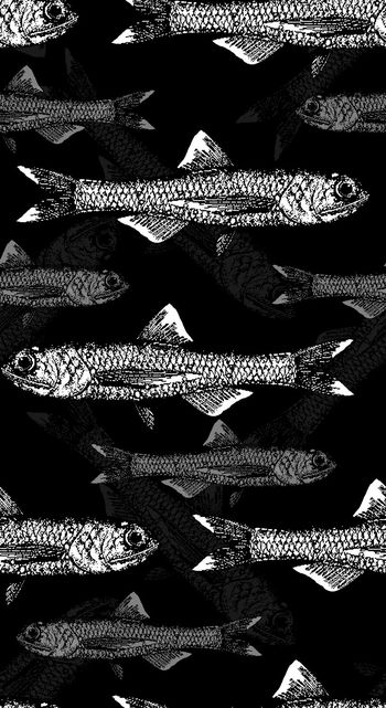 550204-抽象鱼骨男装图案