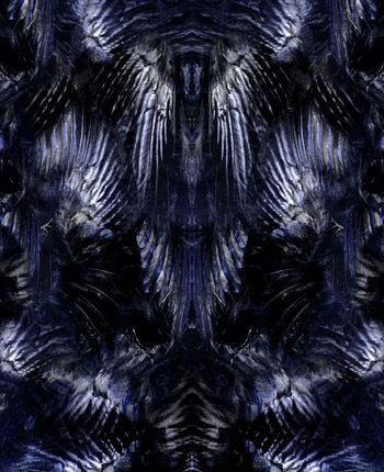 550215-抽象羽毛鹰翅膀定位图案