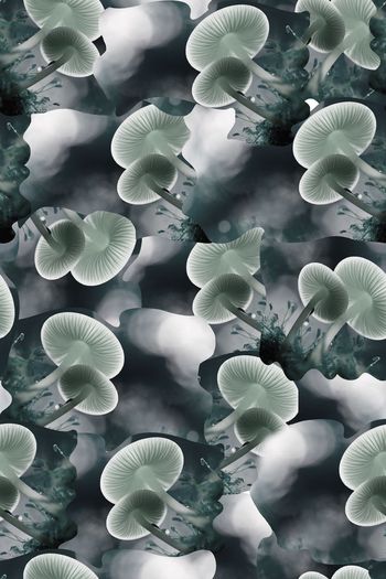 550239-抽象大自然磨菇纹理男装羽绒服图案