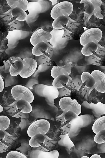 550240-抽象大自然磨菇纹理男装羽绒服图案