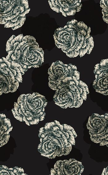 550356-欧美流行时尚秋冬款黑线条花系列02