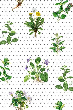 波点印花华亿平台图片