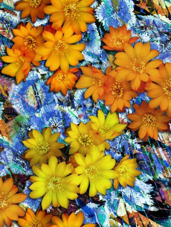 550525-时尚大牌 花卉 手绘底纹 组合 服