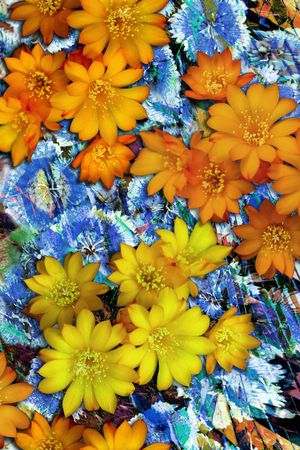 服装印花华亿平台图片