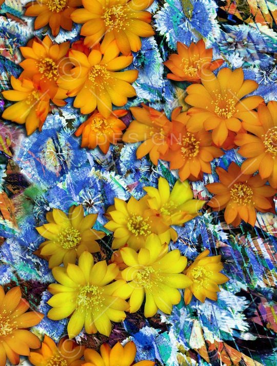 服装印花华亿平台图片