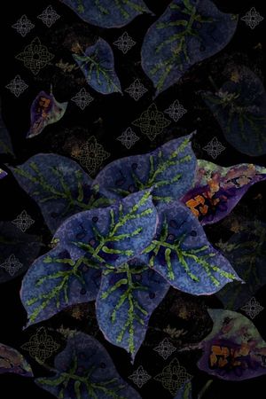 时尚印花华亿平台图片