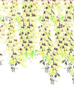 叶形鸟儿印花华亿平台图片