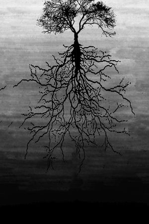 树树根印花华亿平台图片