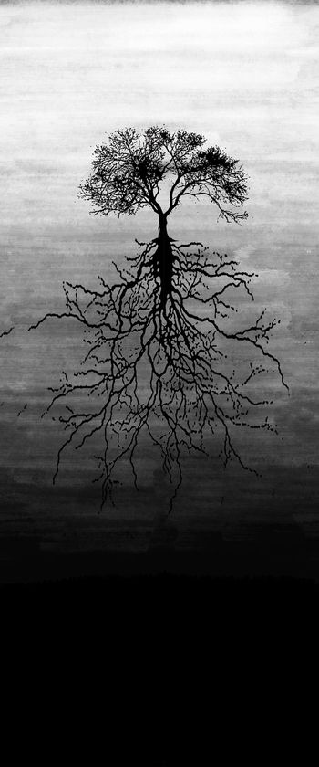 树树根印花华亿平台图片