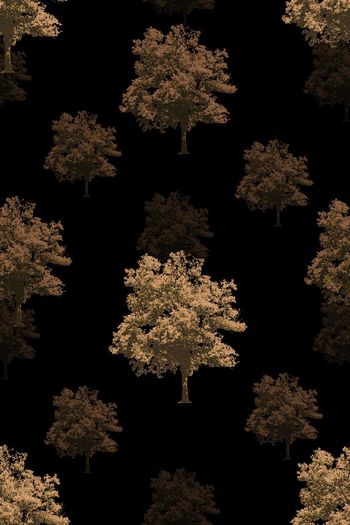 550804-抽象小树男装羽绒服图案