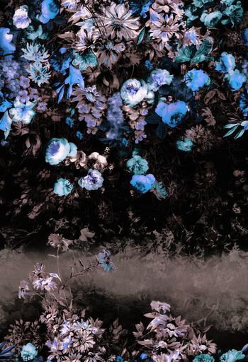 550816-怀旧灰色花卉