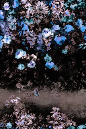 玫瑰印花华亿平台图片