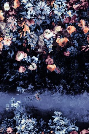 玫瑰印花华亿平台图片