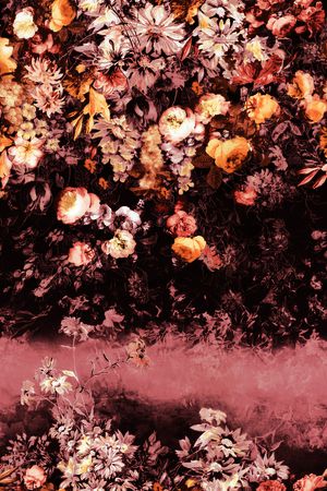 玫瑰印花华亿平台图片