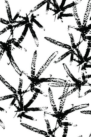 花卉植物印花华亿平台图片