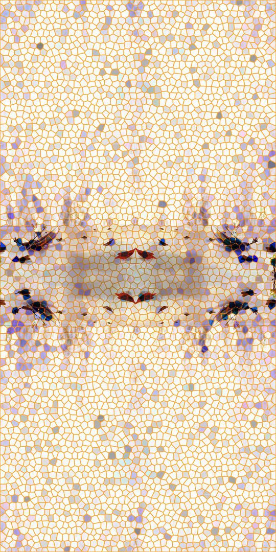 时尚印花华亿平台图片