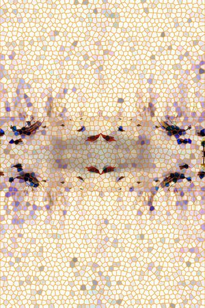 时尚印花华亿平台图片