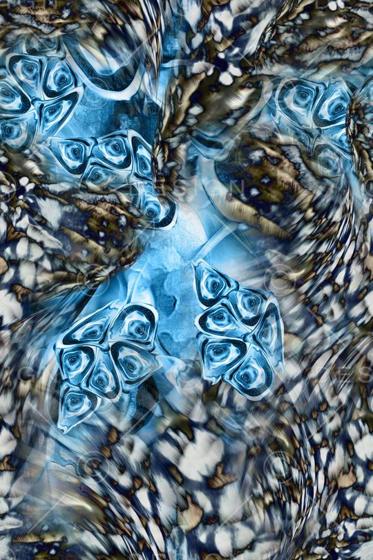 欧美抽象印花华亿平台图片