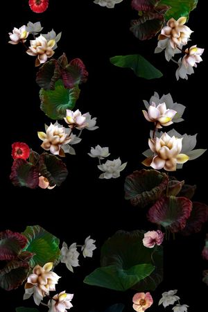 荷花印花华亿平台图片