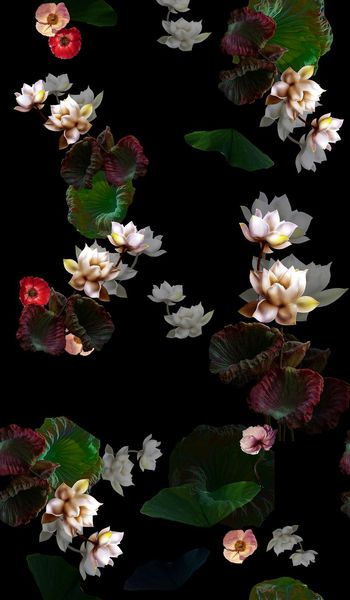 荷花印花华亿平台图片