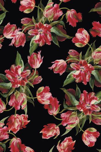 551019-大牌华亿平台  写意 大气郁金香 手绘