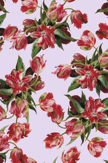 551021-大牌华亿平台  写意 大气郁金香 手绘